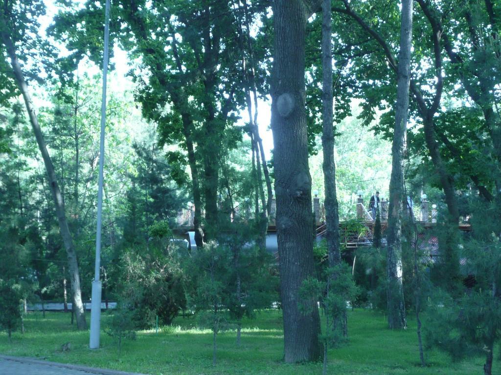 Apartment Tsentr 5 Taskent Exterior foto